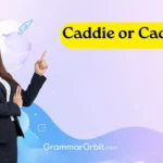 caddie or caddy