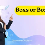 boxs or boxes